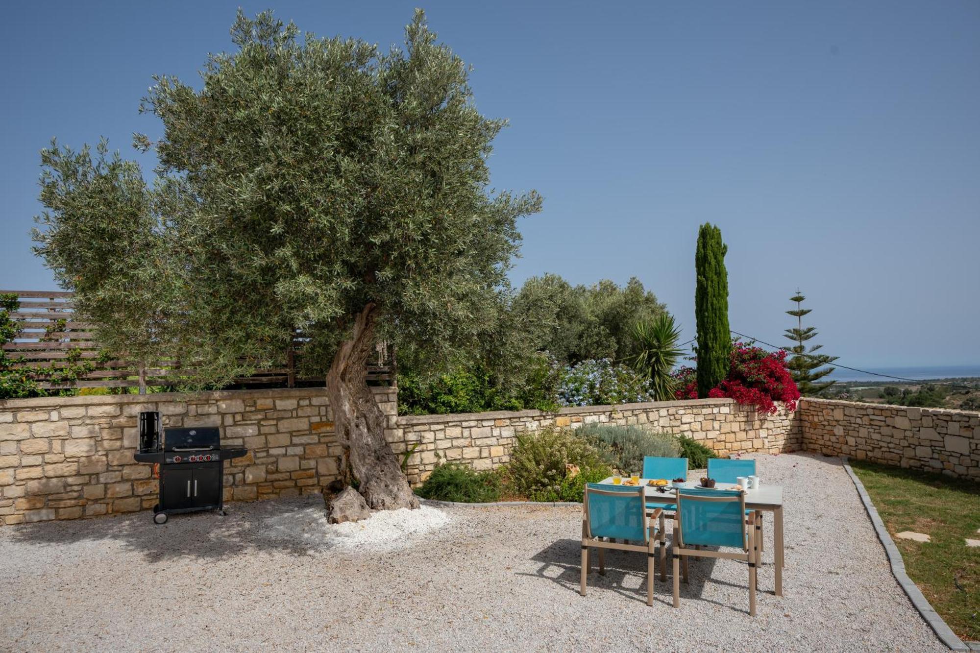 Villa Vasiliki Private Pool Erfoi Exterior photo